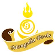 wigojp.com
